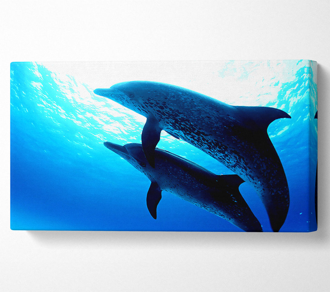  A Canvas Print of Dolphins Under The Sea Canvas Print