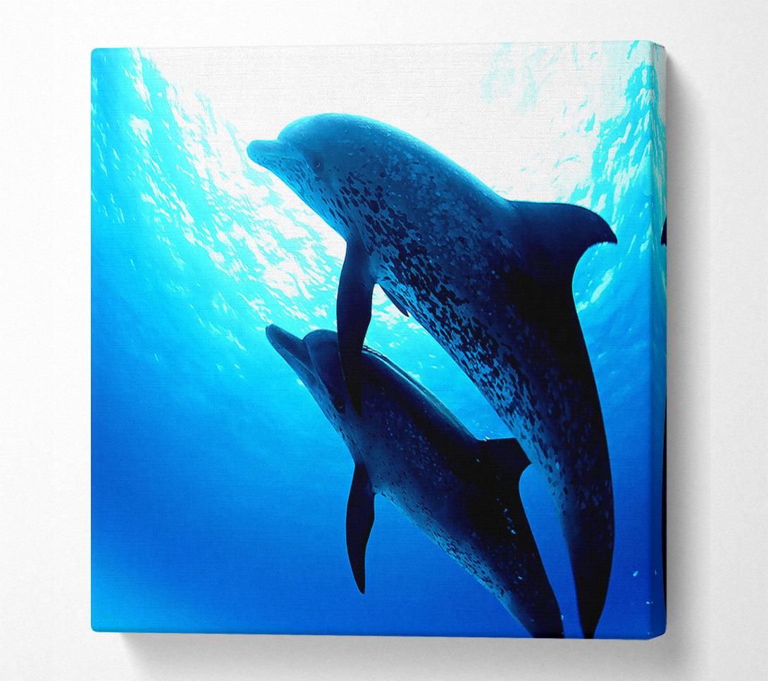  A Canvas Print of Dolphins Under The Sea Canvas Print