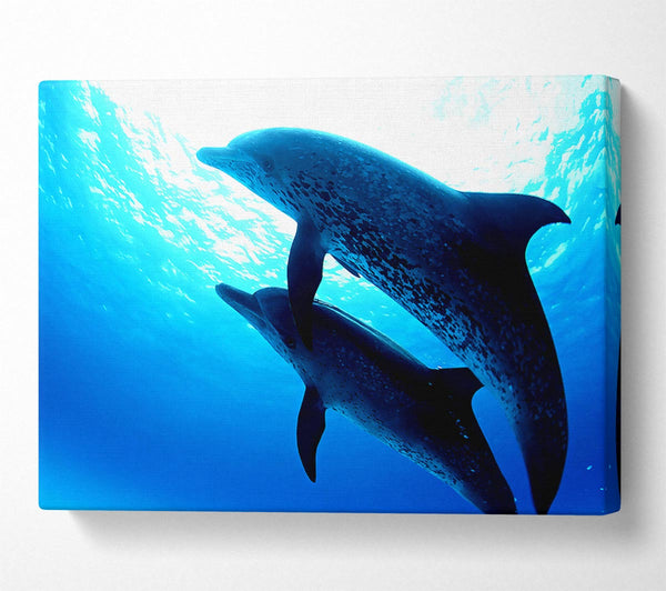  A Canvas Print of Dolphins Under The Sea Canvas Print