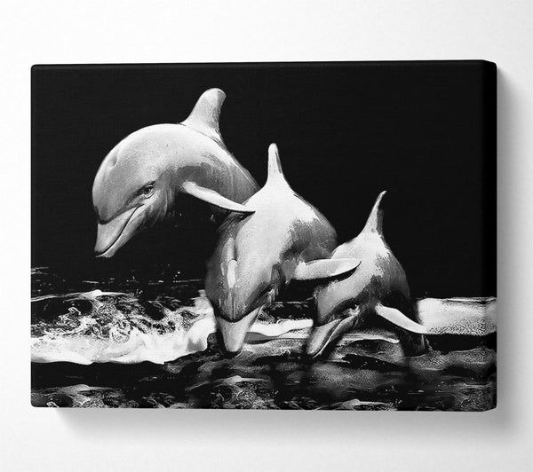  A Canvas Print of Dolphins Canvas Print