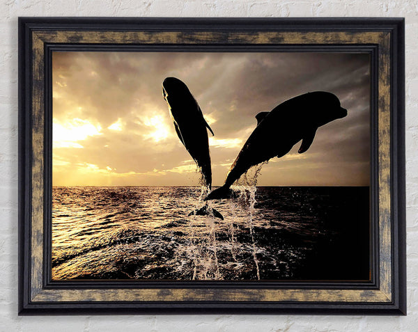Double Dolphin Jump Framed Print