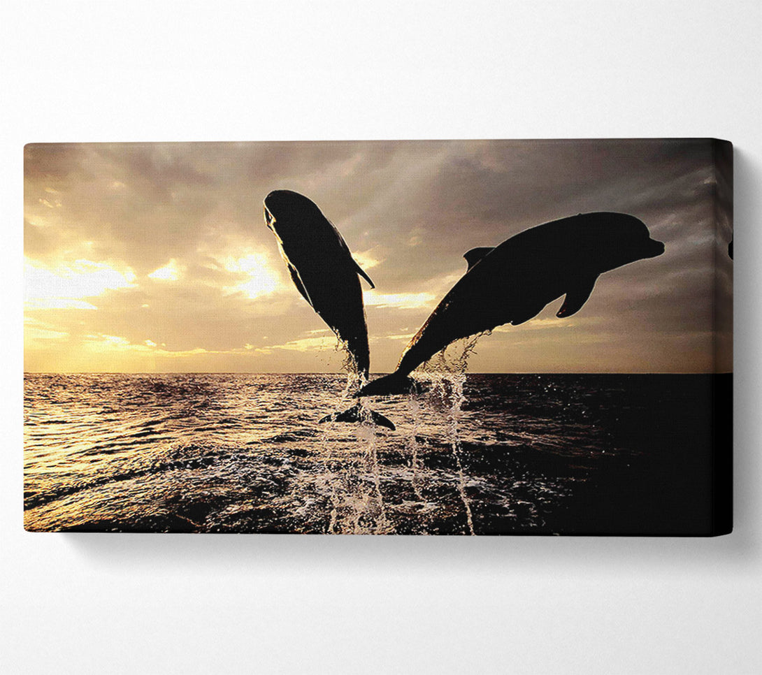  A Canvas Print of Double Dolphin Jump Canvas Art