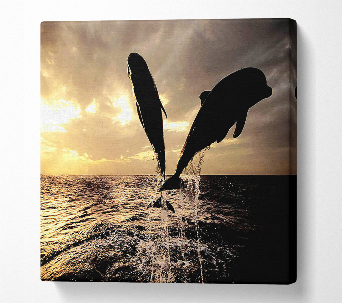  A Canvas Print of Double Dolphin Jump Canvas Art