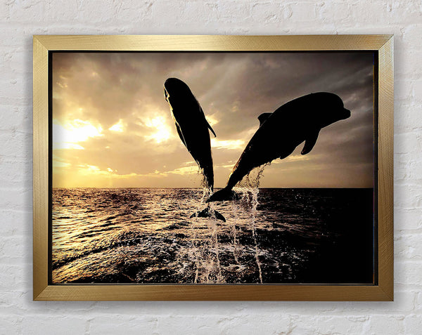 Double Dolphin Jump Framed Print