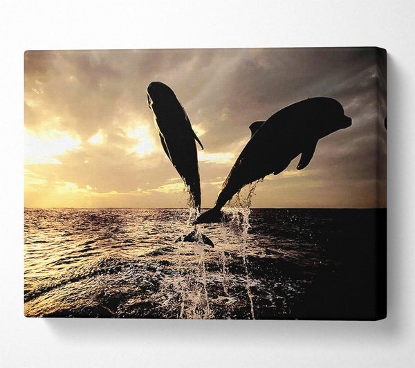 A Canvas Print of Double Dolphin Jump Canvas Art