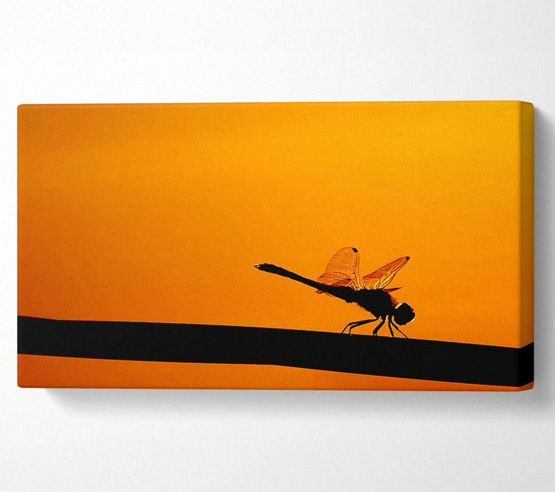  A Canvas Print of Dragonfly On A Stick Canvas Print