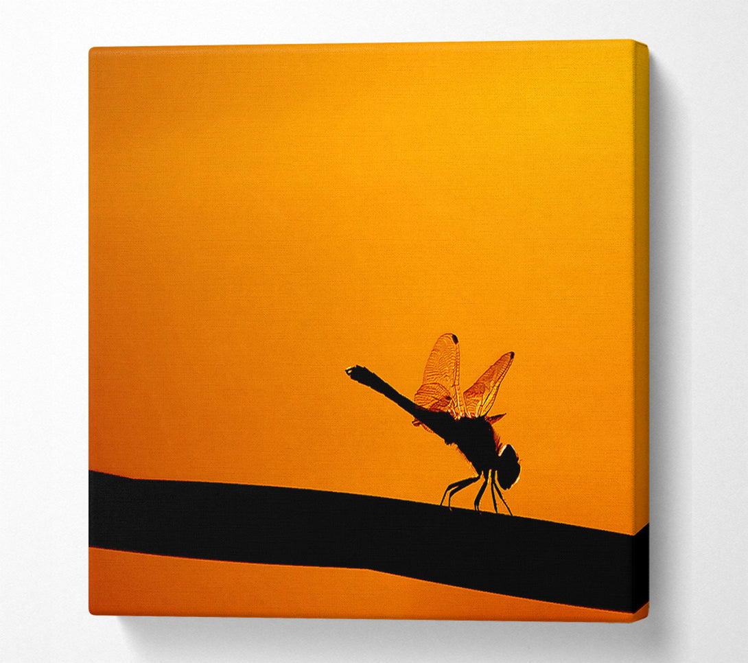  A Canvas Print of Dragonfly On A Stick Canvas Print