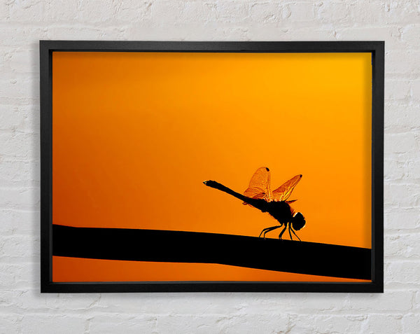 Dragonfly On A Stick Framed Print