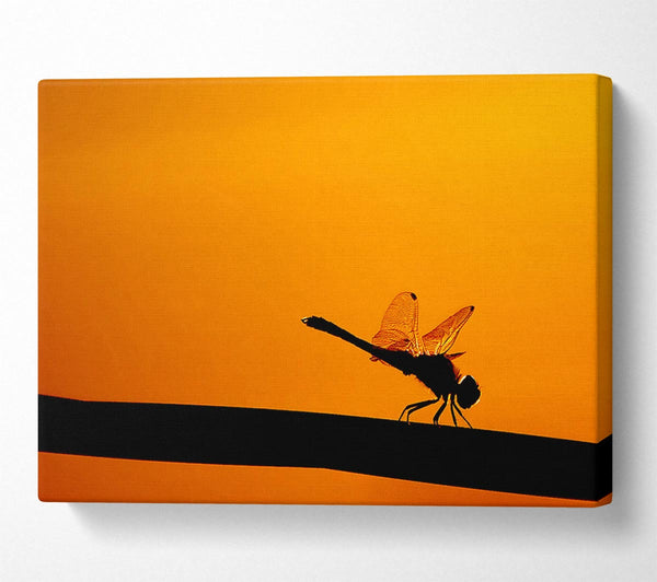  A Canvas Print of Dragonfly On A Stick Canvas Print