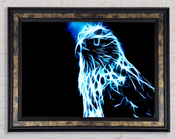 Eagle Blaze Framed Print