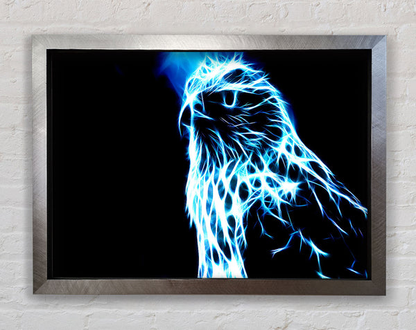 Eagle Blaze Framed Print