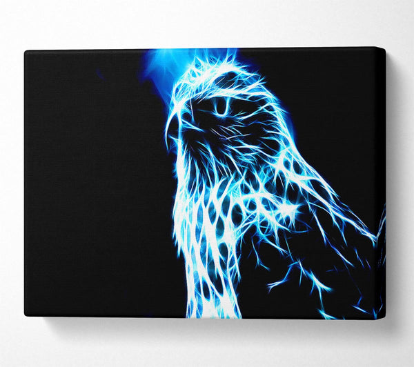  A Canvas Print of Eagle Blaze Canvas Print