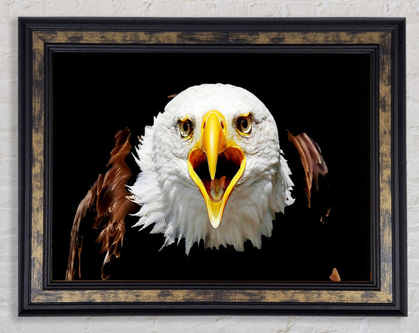 Eagle Talk Framed Print