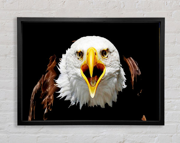 Eagle Talk Framed Print