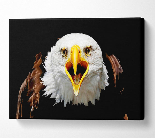  A Canvas Print of Eagle Talk Canvas Art