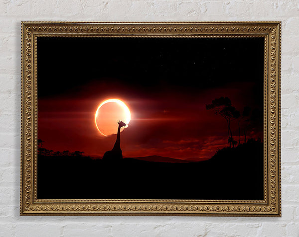 Eclipse Framed Print