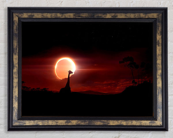 Eclipse Framed Print