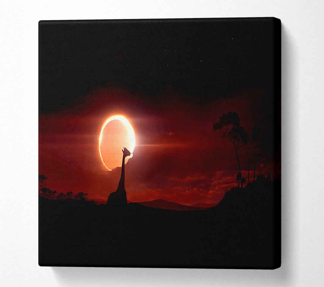  A Canvas Print of Eclipse Canvas Wall Art