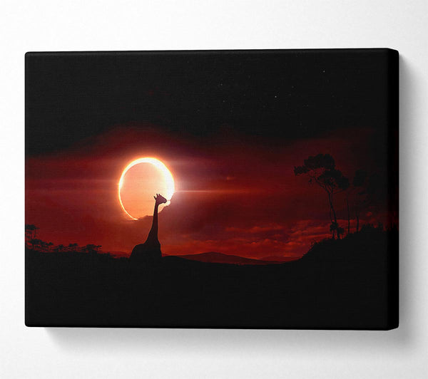  A Canvas Print of Eclipse Canvas Wall Art