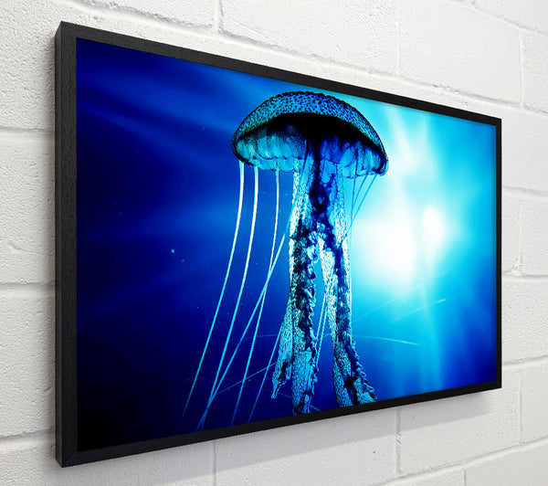 Electric Blue Jellyfish