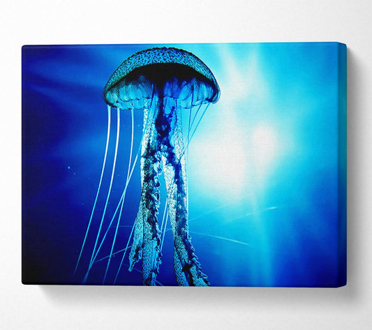 Electric Blue Jellyfish Canvas Wall Art