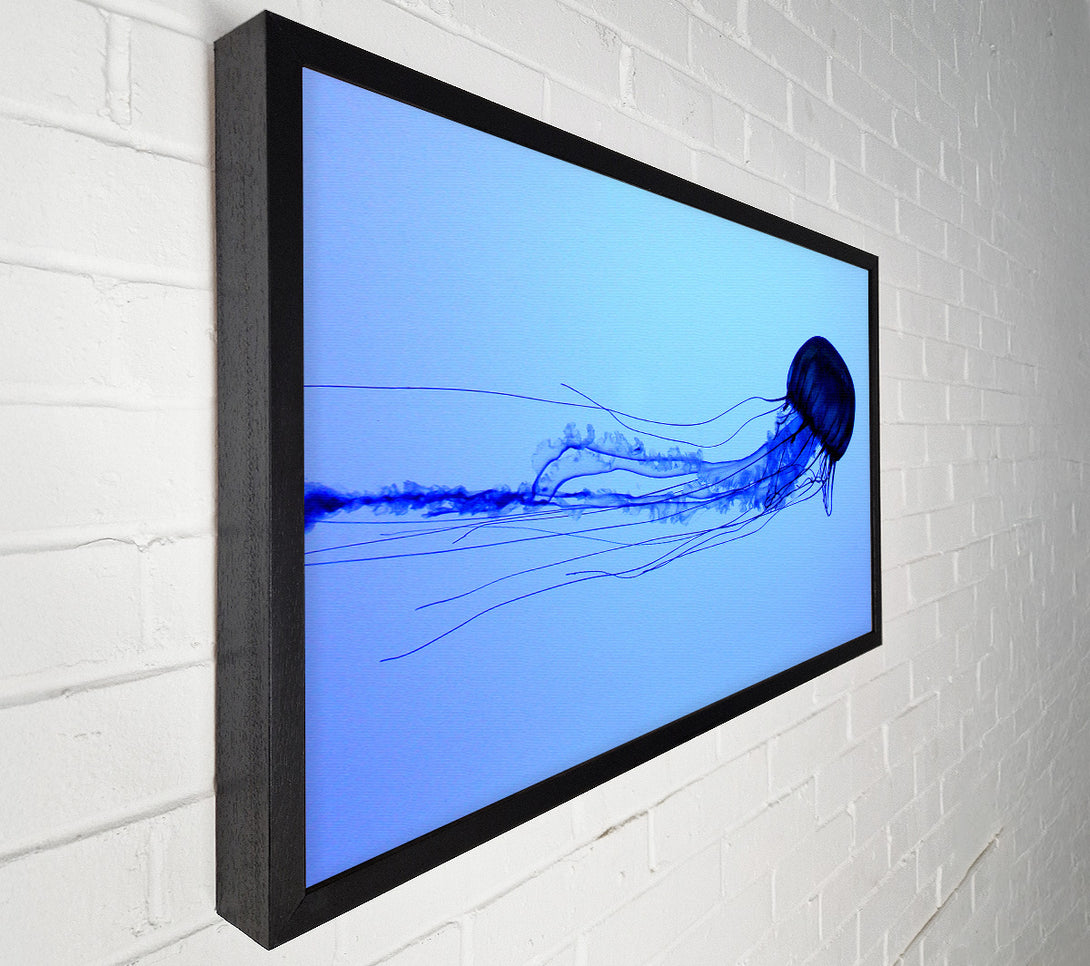  A Canvas Print of Elegant Jellyfish Canvas Print