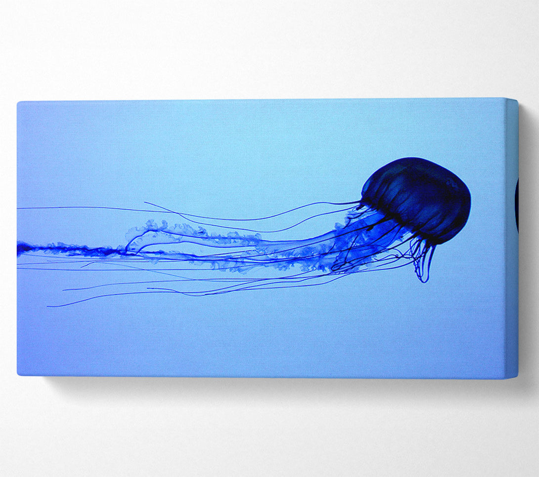  A Canvas Print of Elegant Jellyfish Canvas Print