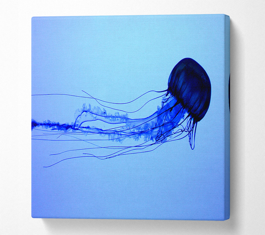  A Canvas Print of Elegant Jellyfish Canvas Print