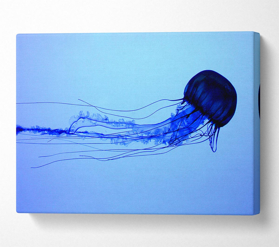  A Canvas Print of Elegant Jellyfish Canvas Print