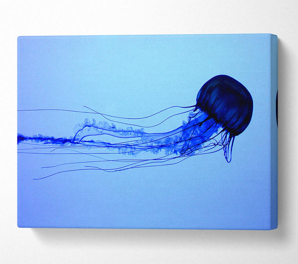  A Canvas Print of Elegant Jellyfish Canvas Print