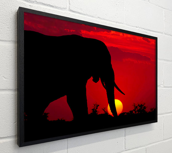 Elephant At Sundown