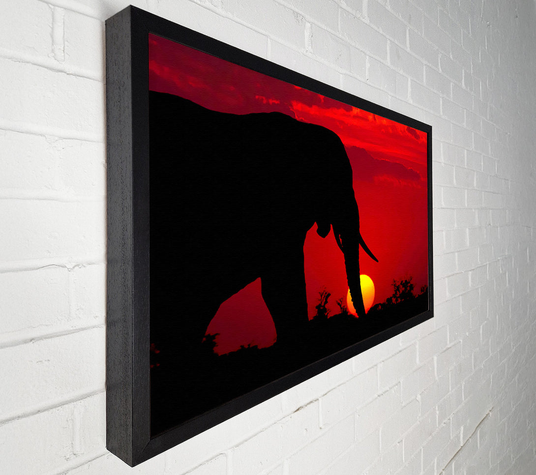  A Canvas Print of Elephant At Sundown Canvas Art