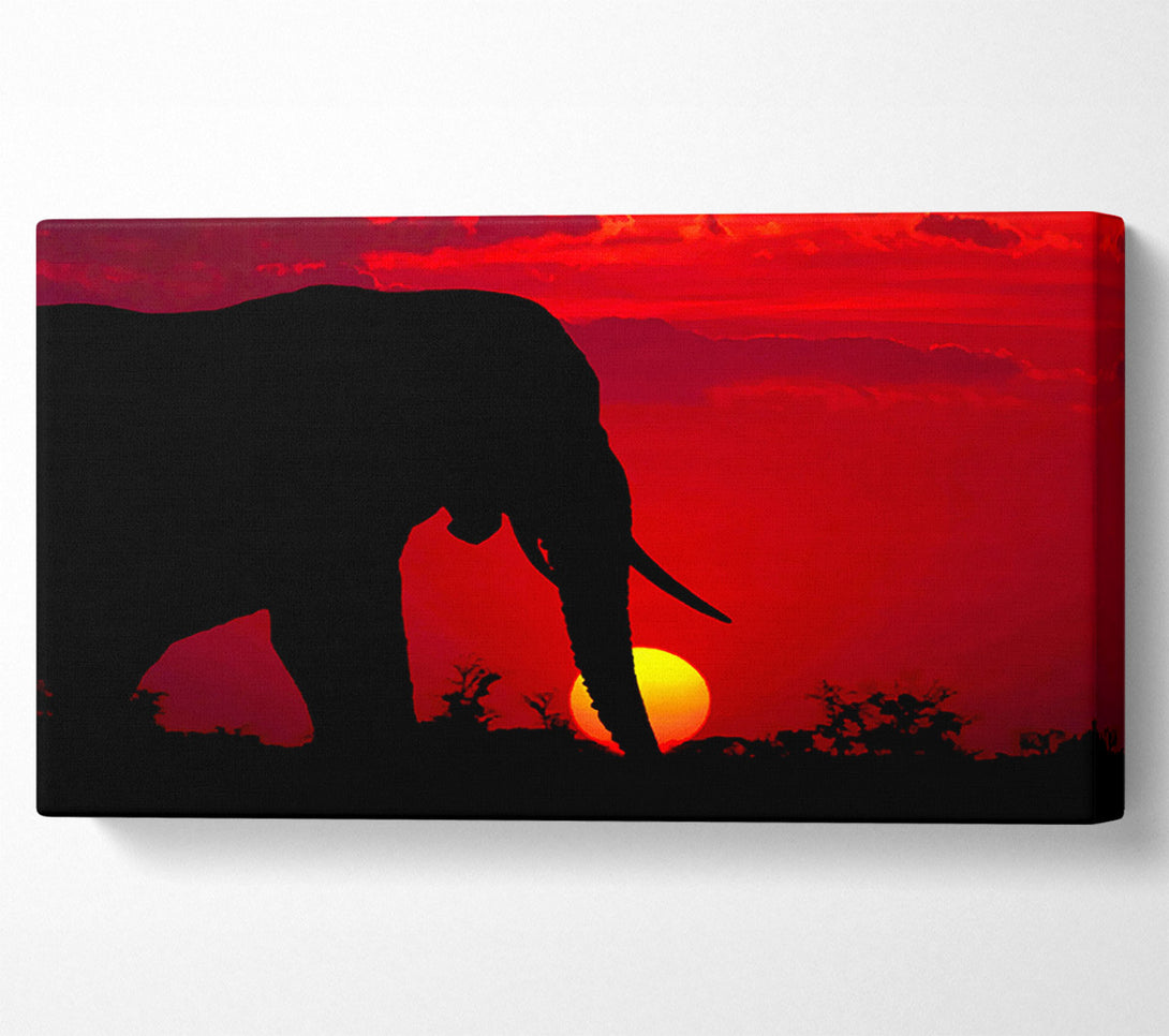  A Canvas Print of Elephant At Sundown Canvas Art