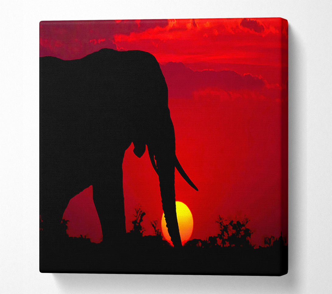  A Canvas Print of Elephant At Sundown Canvas Art