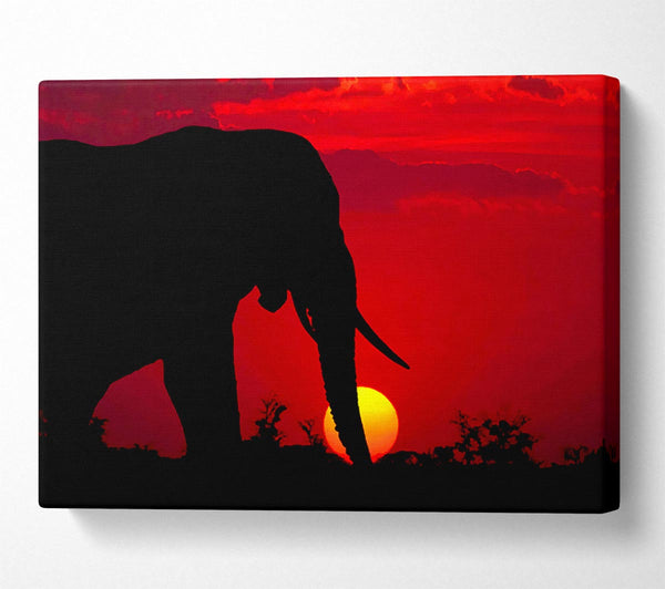  A Canvas Print of Elephant At Sundown Canvas Art