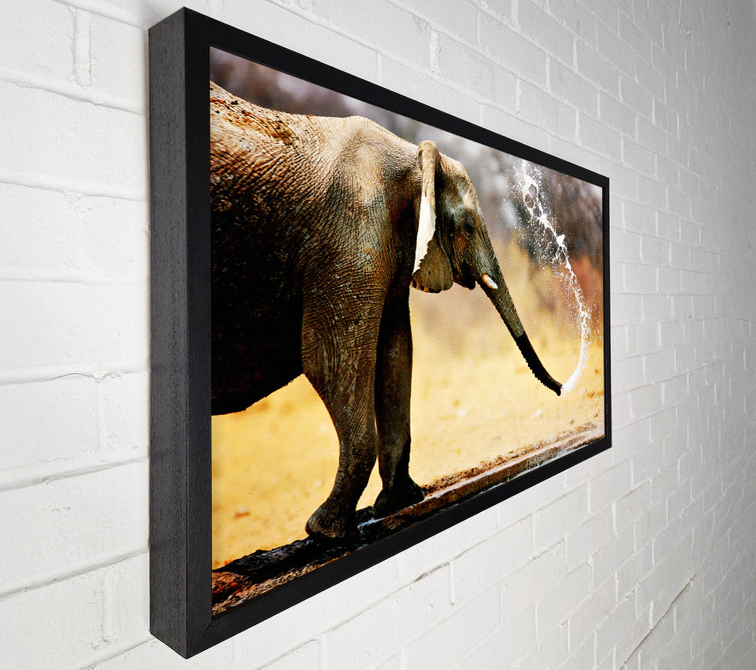  A Canvas Print of Elephant Bath Canvas Wall Art