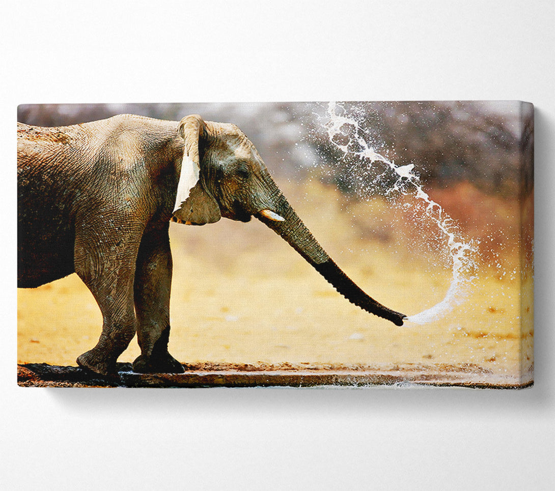  A Canvas Print of Elephant Bath Canvas Wall Art