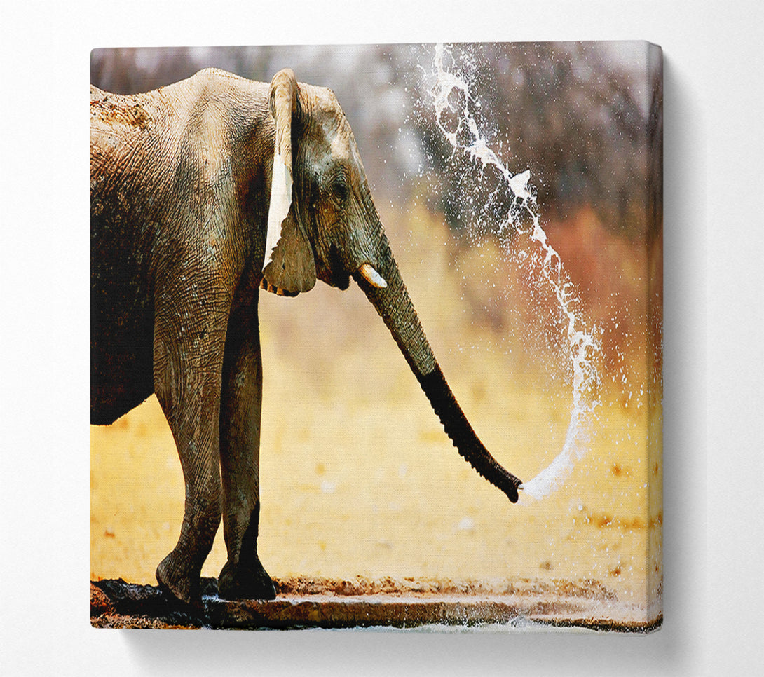  A Canvas Print of Elephant Bath Canvas Wall Art