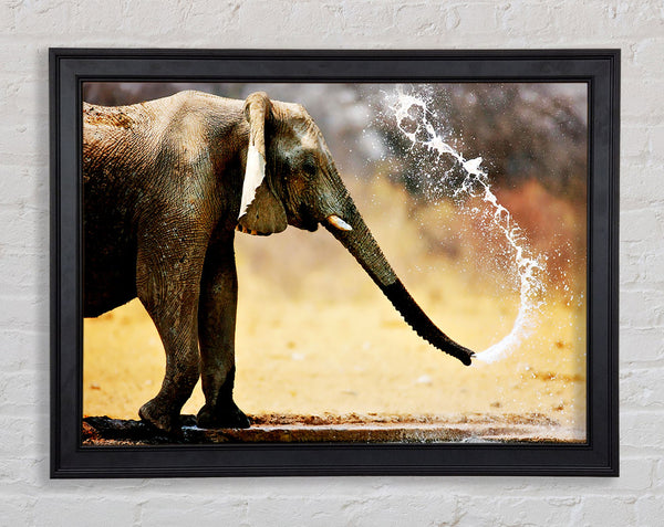 Elephant Bath Framed Print