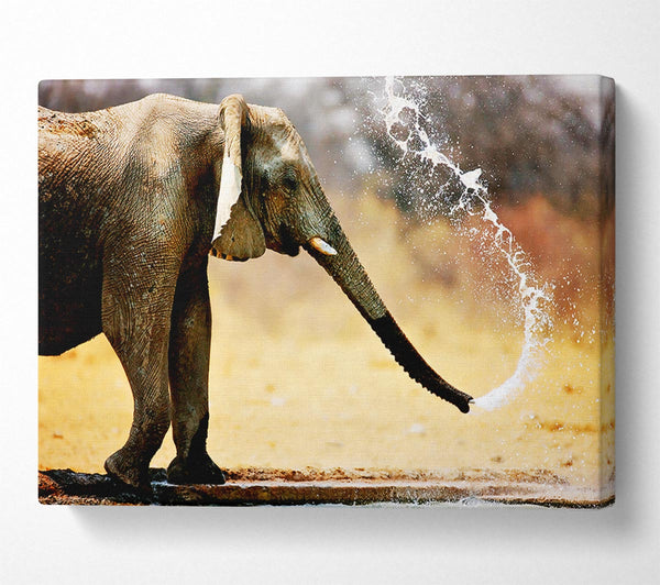  A Canvas Print of Elephant Bath Canvas Wall Art