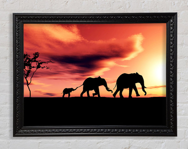 Elephant Family Sunset Framed Print