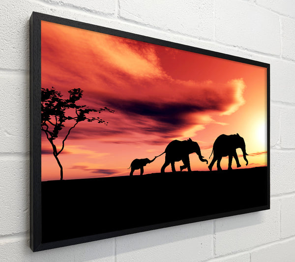 Elephant Family Sunset