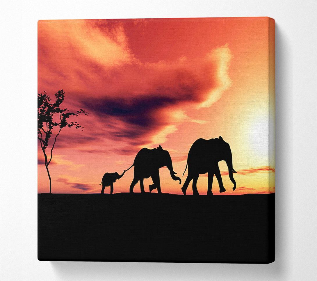  A Canvas Print of Elephant Family Sunset Canvas Art