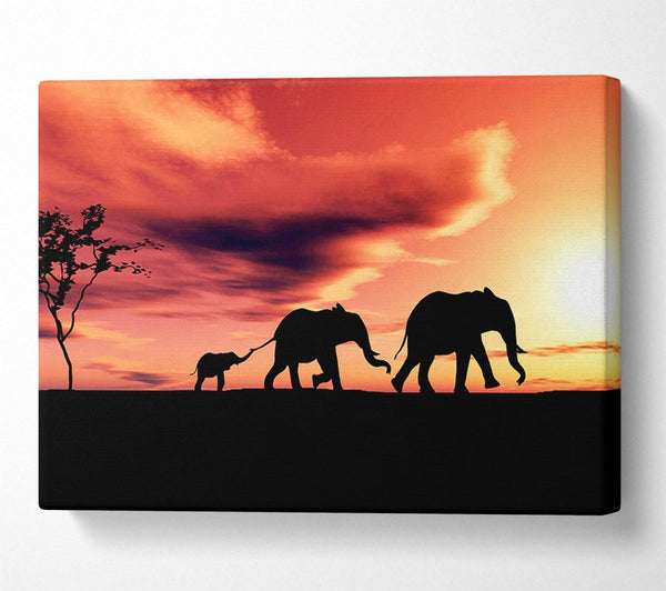  A Canvas Print of Elephant Family Sunset Canvas Art