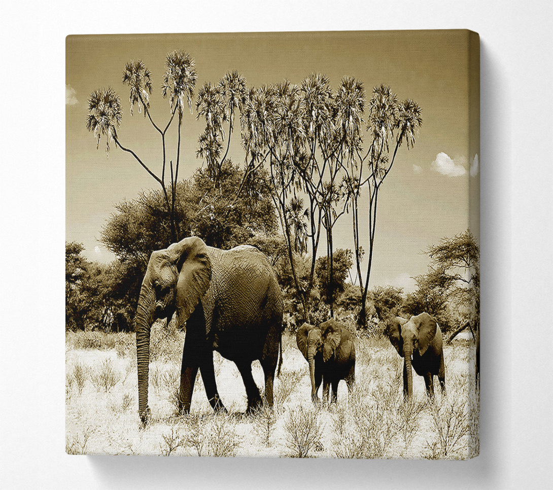  A Canvas Print of Elephant Family Canvas Wall Art