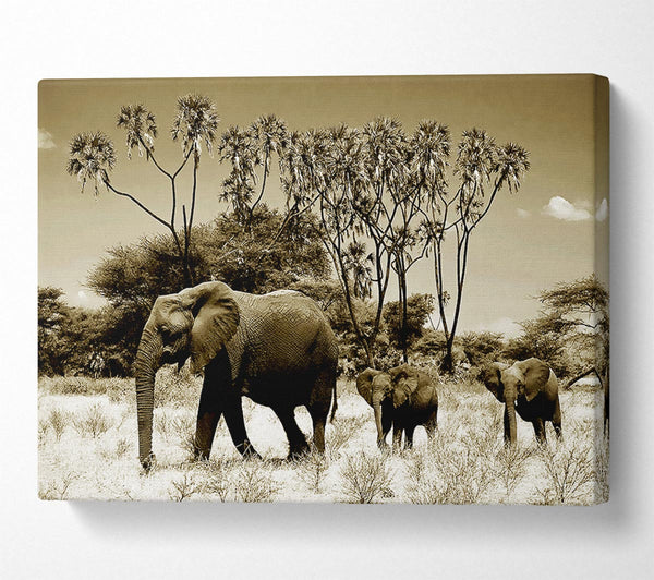  A Canvas Print of Elephant Family Canvas Wall Art