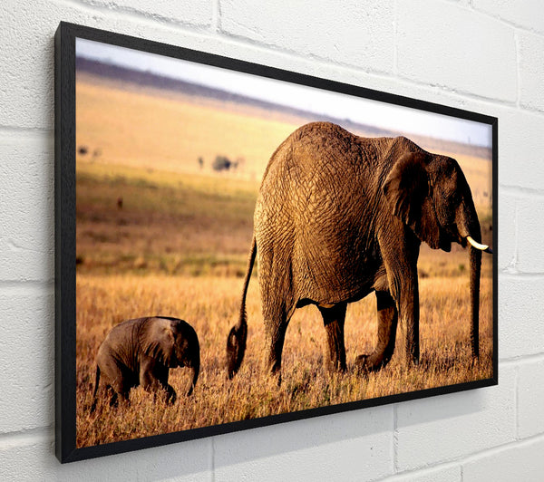 Elephant Mother And Baby