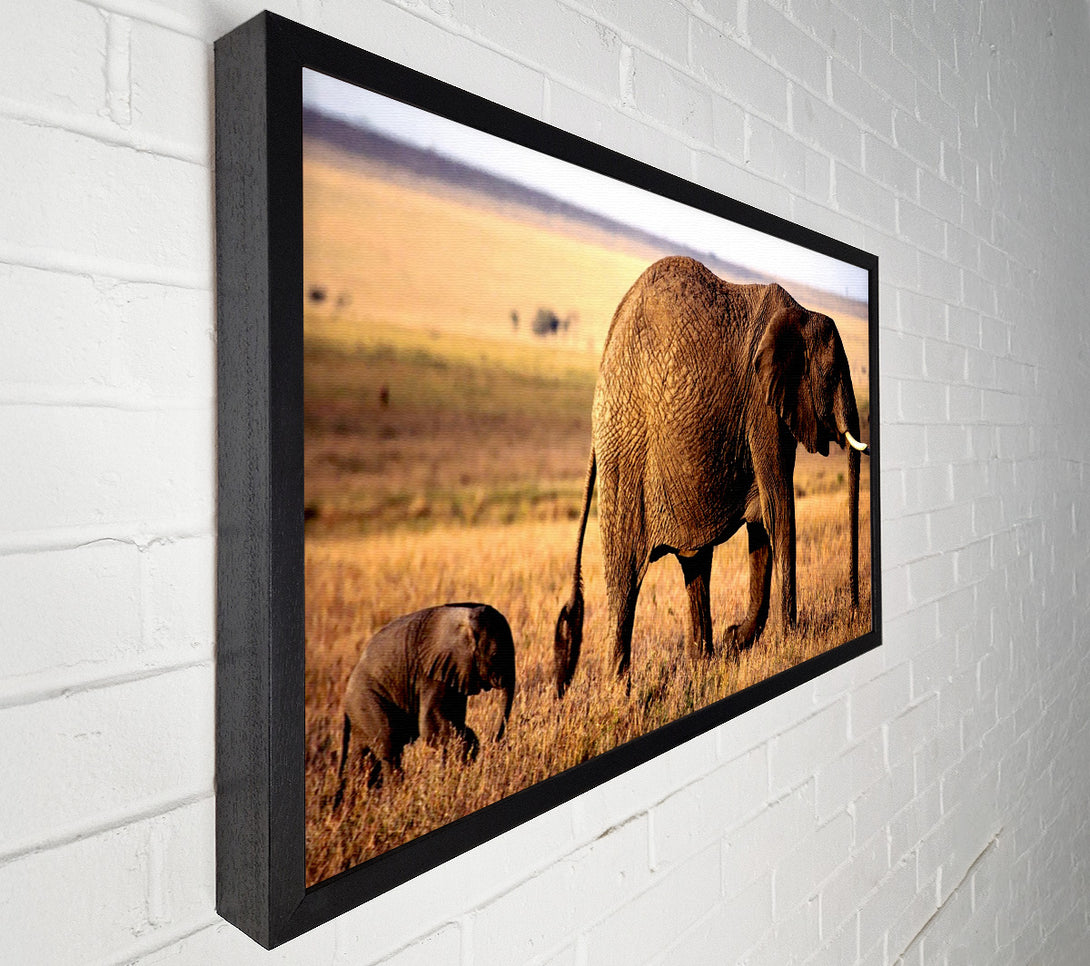  A Canvas Print of Elephant Mother And Baby Canvas Art