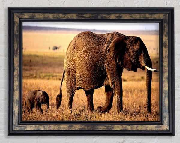 Elephant Mother And Baby Framed Print