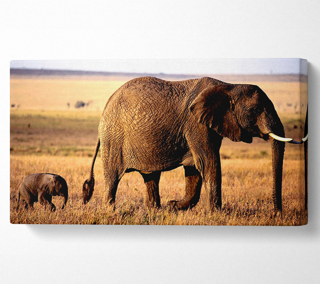  A Canvas Print of Elephant Mother And Baby Canvas Art